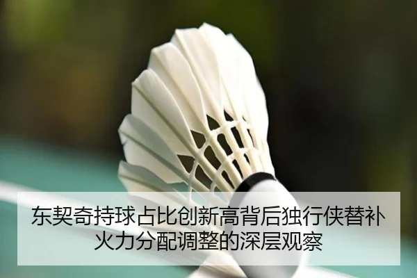 东契奇持球占比创新高背后独行侠替补火力分配调整的深层观察